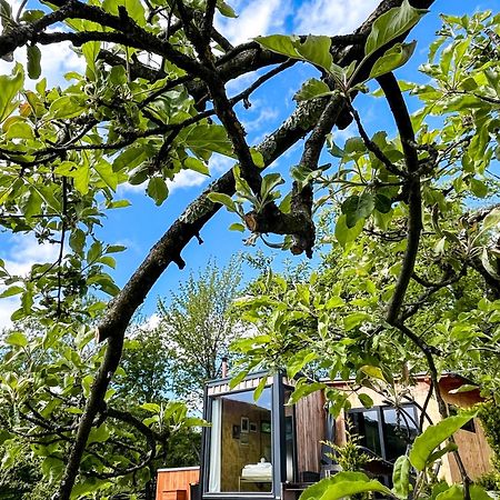 Elysian Fields - The Island Tiny House Bed and Breakfast Sadu Exteriör bild
