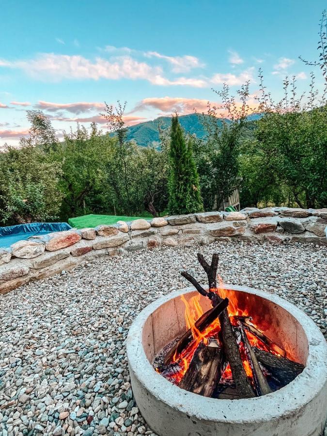Elysian Fields - The Island Tiny House Bed and Breakfast Sadu Exteriör bild
