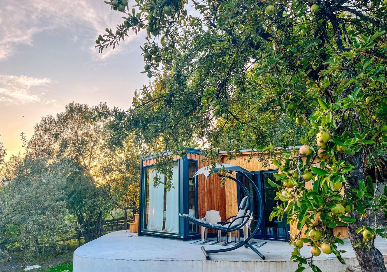 Elysian Fields - The Island Tiny House Bed and Breakfast Sadu Exteriör bild