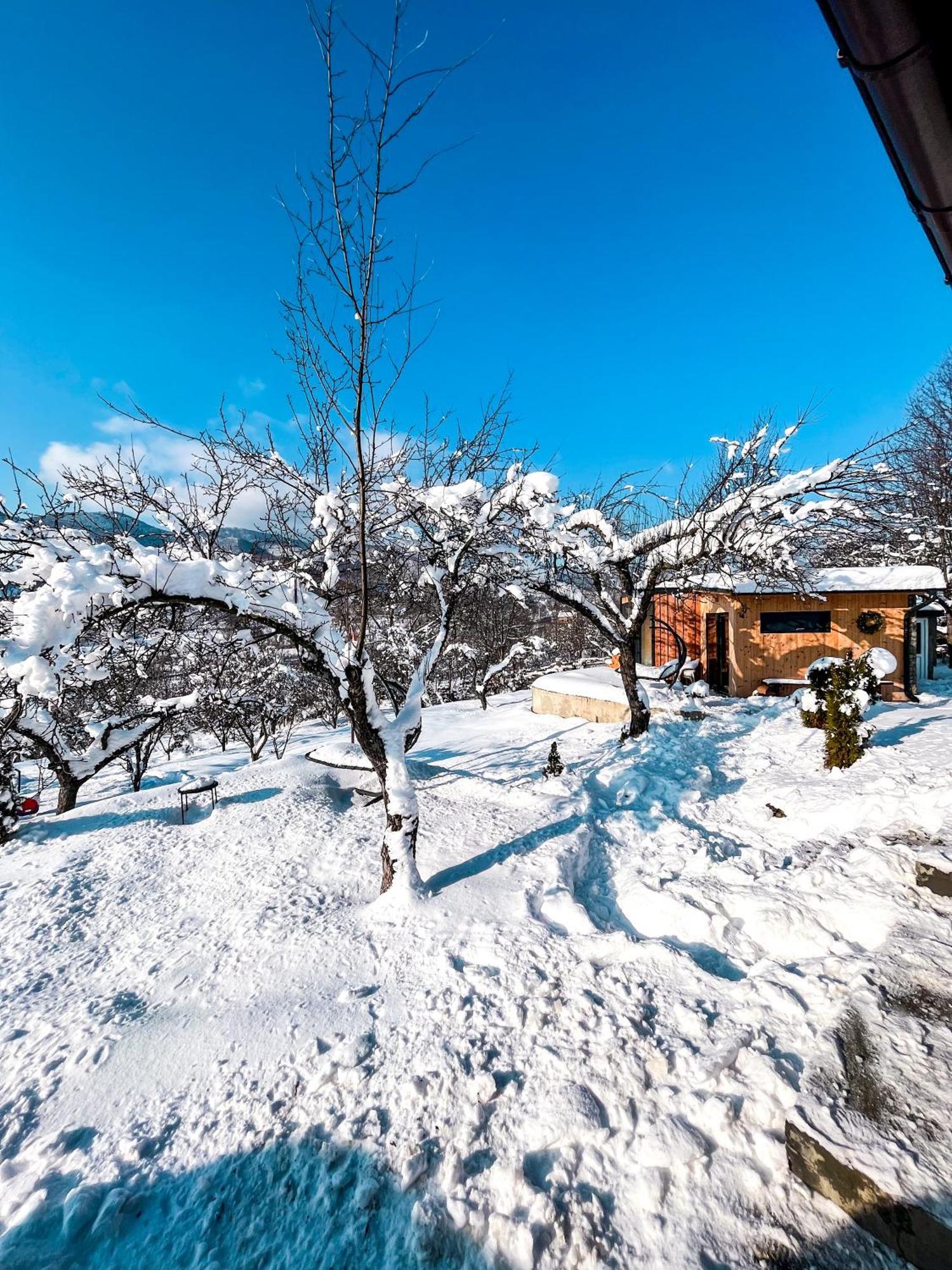Elysian Fields - The Island Tiny House Bed and Breakfast Sadu Exteriör bild
